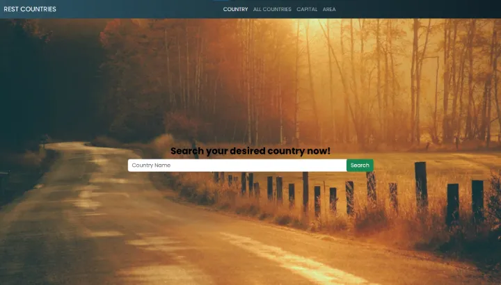 Rest Countries API